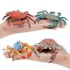 Имитация Морских Животных Фигурка Милый Краб Морская Жизнь Модель Украшения Для Детей Подарки Коллекция
