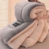 Lamb Wool Quilt Winter Thickened Warm Single Double Dormitory Quilt Core Milk Flannel Blanket Comforter Autumn and Winter