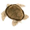 Calorata Loggerhead Sea Turtle Plush Toy Realistic Turtle Sea Creature Animal Toy Doll Gift Present Birthday Christmas Present (Medium Size/Soft