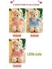 2021 Princess Bear Plush Doll - Teddy Bear Couple Toy for Girls, Holiday Gift