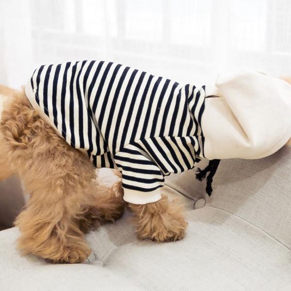 Милая толстовка для собак, пальто, толстовки с капюшоном, толстовка с пуделем, бульдогом, одежда с капюшоном, повседневная толстовка для взрослых и домашних животных