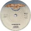 7-дюймовая пластинка CHAMPAGNE - Я буду скучать по тебе THE113 Thunderbird 1976 Великобритания Поп Б/У