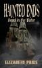 The Haunted Ends Dead In The Water 4 by Elizabeth Price - Paperback Book