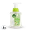Foaming Antibacterial Hand Wash Apple Blossom Main Product, 250ml, 3 Units