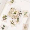 Plant Collection Decorative Stickers Adhesive Stickers DIY Decoration Diary Stickers Box Package