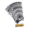 50pcs/pack Spider Printed Halloween Cellophane Treat Bag Party Wrapping Supplies  Halloween Decor