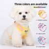 Spring Mesh Leather Breathable Cat Small Dog Harness Vest and Leash