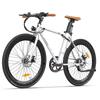 FAFREES 700C 250W City Ebike Single Speed Pedal Assist Электрический городской велосипед для мужчин и женщин, совершающих поездки за покупками
