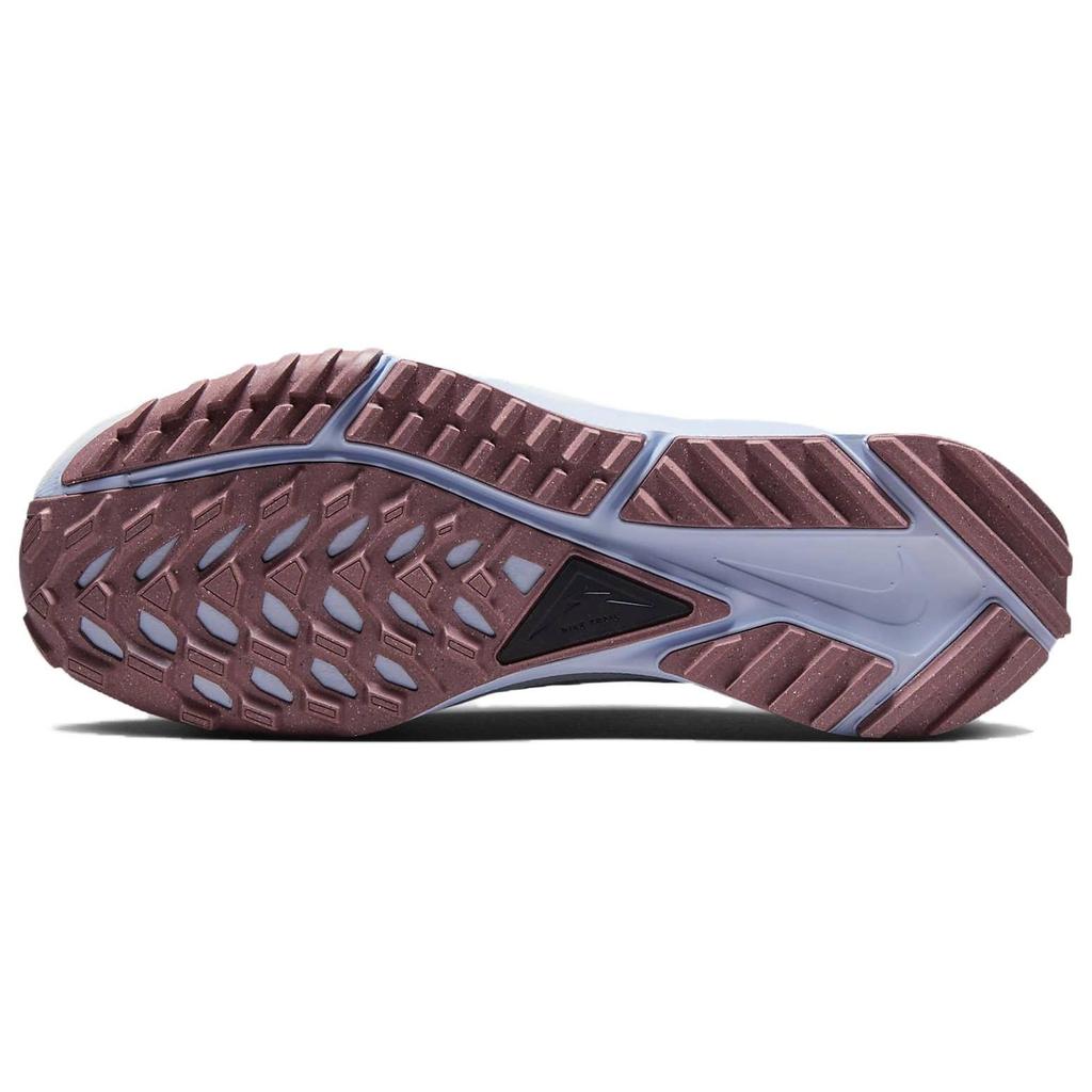 Nike React Pegasus Trail 4 Light Smoke Smokey Mauve Женские кроссовки Серые Светло-Дымчато-Серые Черные DJ6159-005