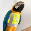 Safety Parrot Flying Harness Adjustable Bird Harness Vest Flight Training Rope  Flying Training