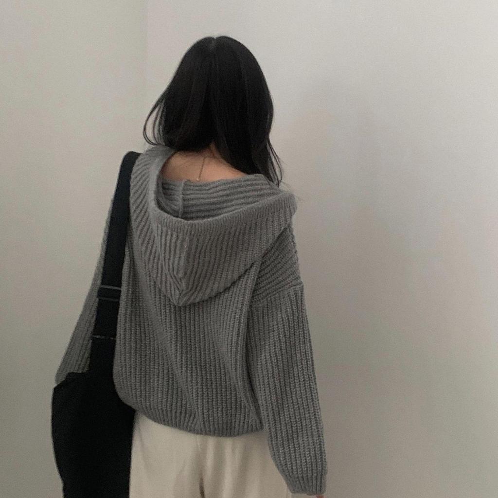 Korean Style Twisted Hooded Double-Zip Knit Cardigan - Women's Loose Fit, Long-Sleeved Sweater for Autumn and Winter