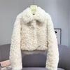 Autumn and Winter New Imitation Lamb Wool Short Fur Coat Women's Thickened Fashion Imitation Wool Roll Coat