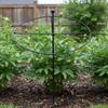 Round Plant Support Loop Decorative Design Circular Vine Trellis Stake Climbing Plant Loop Long-Lasting Space-Saving for Garden