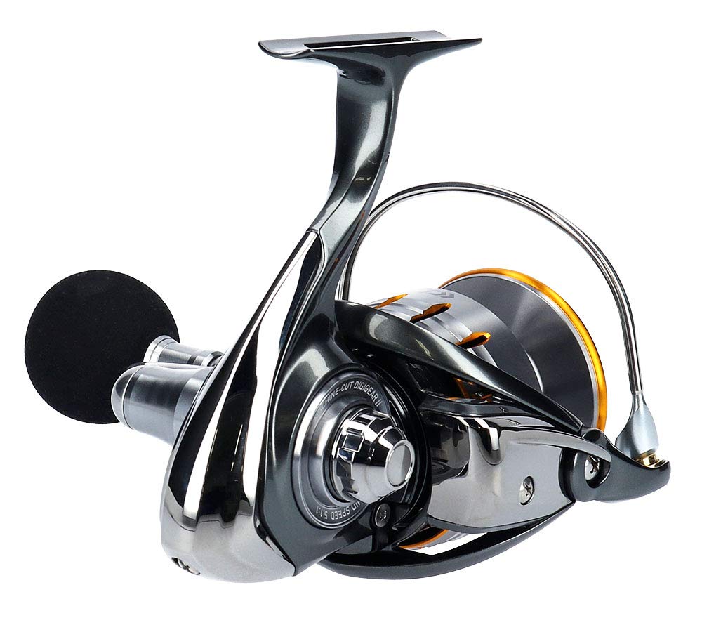 Daiwa Spinning Reel 18 Blast LT6000D (2018 Model)