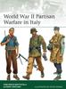 Книга World War II Partisan Warfare In Italy