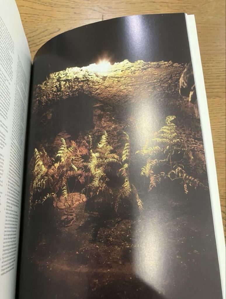 [USED] Anselm Kiefer Daniel Arasse