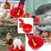 Poultry Automatic Drinking Fountain, Plastic Drinking Fountain, Chick Drinking Fountain, Duck Goose, Quail Drinking Fountain