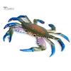 Puntos Kids Toy Simulation Hermit Crab Marine Animal PVC Model Desktop Decor Education