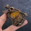 Natural Baltic Amber Gemstone Copper Wire Wrap Jewelry Pendant 3.35" U1B36