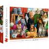 10555 "1000 - Cat Meeting