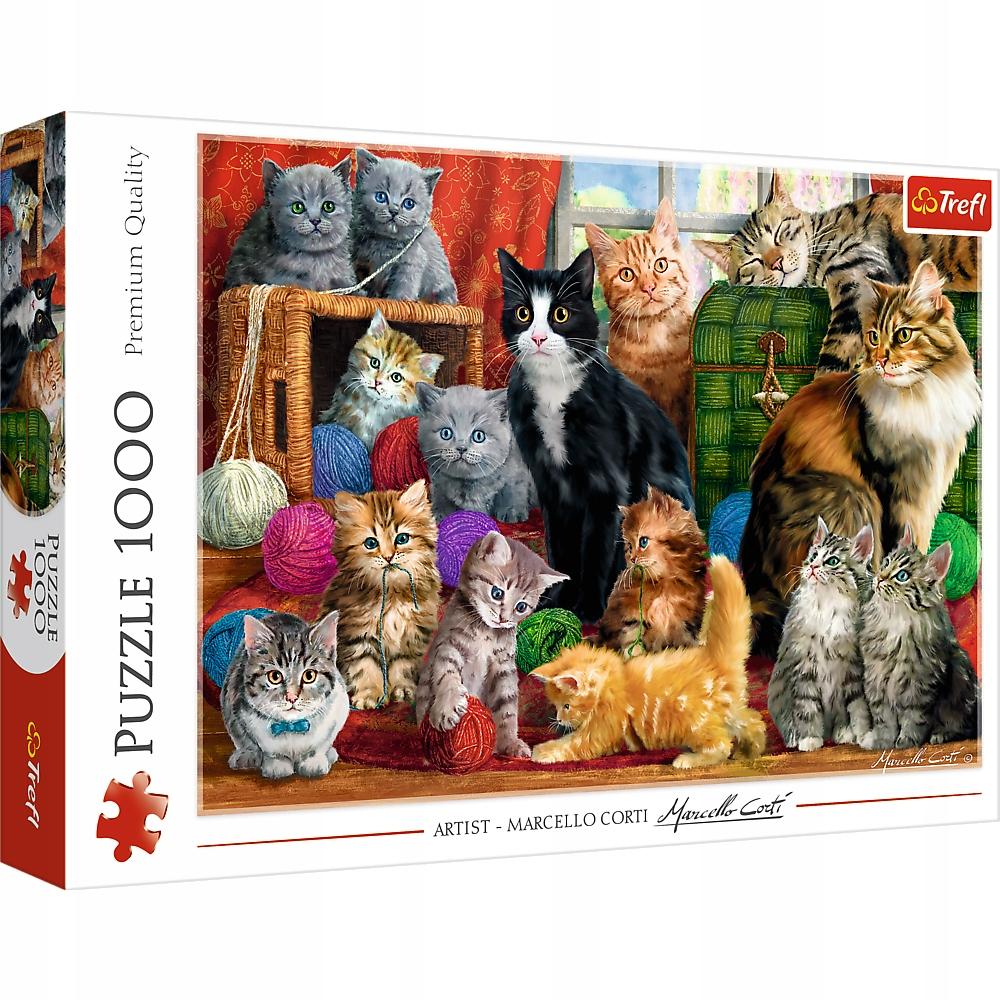 10555 "1000 - Cat Meeting
