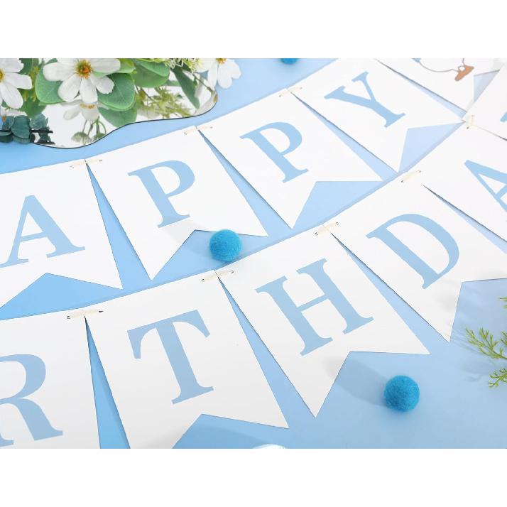 One Silly Goose Happy Birthday Banner - Blue One Silly Goose 1st Birthday Decorations,Baby Boy First Party Theme Decor,Baby Boy Birthday Banner