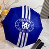 C-Chelsea Umbrella with Automatic Open/Close & Self-8-Rib Heavy-Duty Umbrella, Compact Travel Umbrella Suitable for Outdoor