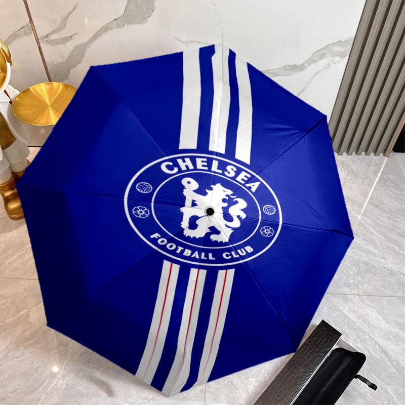 C-Chelsea Umbrella with Automatic Open/Close & Self-8-Rib Heavy-Duty Umbrella, Compact Travel Umbrella Suitable for Outdoor