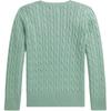 Polo Ralph Lauren Хлопковый свитер с круглым вырезом и косами Детский свитер 323702674-505