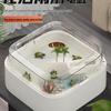 Acrylic Turtle Habitat with Sun Deck - Creative Eco-friendly Tank for Turtles & Fish