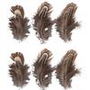 6 Decorative Feathers - Deer Brown