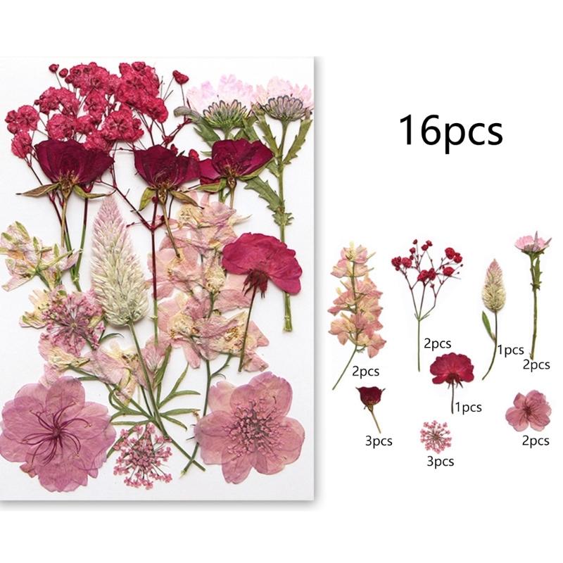 495Piece Dried Flower Craft Set Including Pressed Blooms and Butterfly Stickers for Resin Art and Journal Decorating
