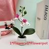 Potted Faux Phalaenopsis Flower For Event Decor And Indoor Embellishment Home