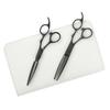 DEEDS GTZ Sword Black Titanium Scissors and 630RA Thinning Scissors Approximately Thinning with Dedicated Case Set Hairdressing Thinning Scissors [PF]