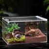 Acrylic Habitat Cage Reptile Terrarium Insect Tarantula Enclosure Tank Snail Spider Habitat Cage For Home Rearing