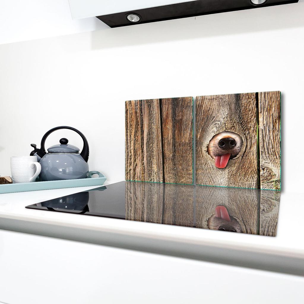 2x GLASS PROTECTIVE PLATE FOR STOVE 40x52 DOG