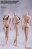 TBLeague Scale Super Flexible Seamless Female Body Pale Skin Bust Size L 1/6 (S10D)