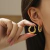 Light Luxury Twist Earrings, Niche Design, Exquisite and Simple, High-end Sensual Ring Earrings, Women