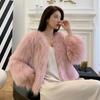 Имитация лисьего меха имитация пальто женское короткое осенне-зимнее новое имитация норкового меха легкое