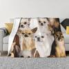 Chihuahuas Throw Blanket Soft Beds Warm Winter Luxury Thicken Warm Luxury Designer Blankets#