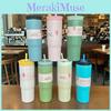 Steel Stainless Insulated Travel Mug With Drinking Straw For Home And Car Use