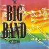 CD VARIOUS - BIG BAND: VOL. 2  VAR026 Tring Internati UK Soul/Funk Used