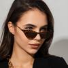 1/3pcs Ladies Triangle Cat Eye Sunglasses Luxury Women Small Cat Eye Sun Glasses Metal Design Anti-UV Outdoor Driving Eyewear