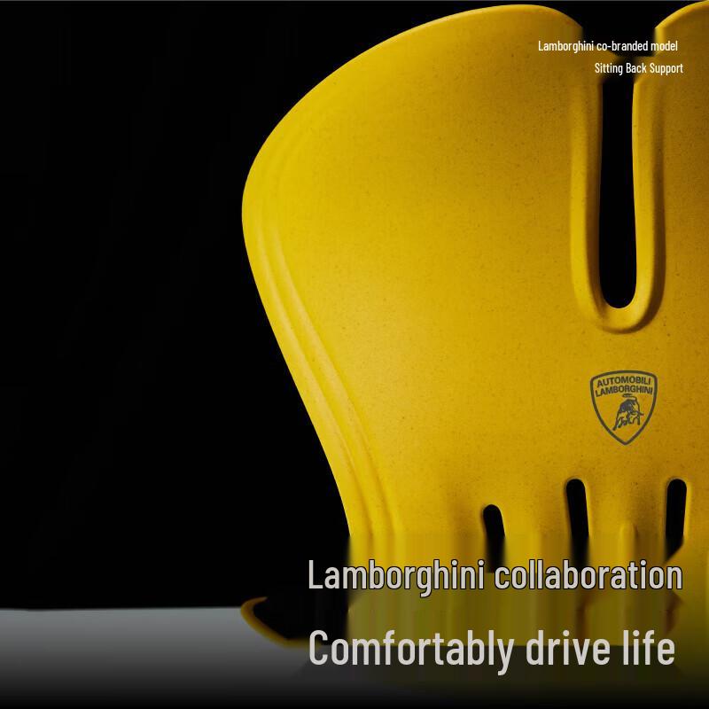 Zodian Lamborghini Ergonomic Lumbar Support Cushion