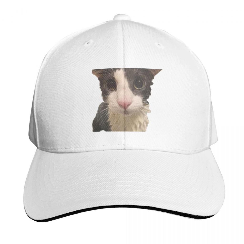 Soggy Cat Baseball Cap funny hat Rugby western Hat Fishing cap Womens  Unisexs