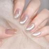 360° Rotating Rotating Cat Eye Magnet Multi Facet Cat Eye Nail Manicure Tool  Home Use