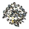 50pcs/Bag Glitter Mixed Shape Sew On Glass Rhinestone Gold Claw Crystal Buckle Diy Wedding Decoration Accessories