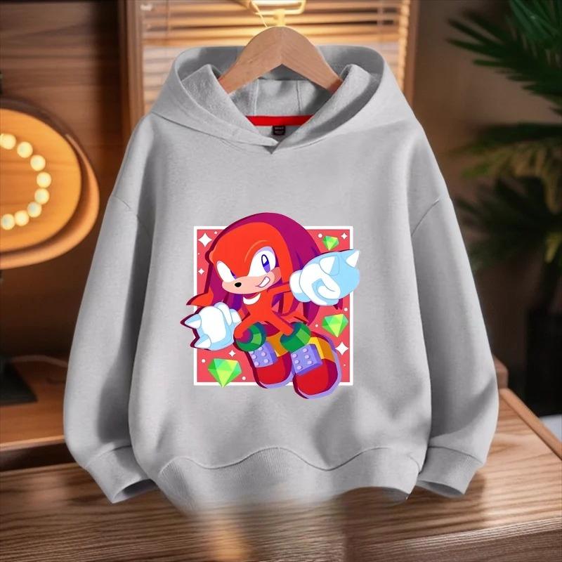 Casual Kids Hoodie with Colorful Cartoon Hedgehog Friends Group Art Print, Long Sleeve Soft Sweatshirt, Nice Gift for Boys Girls Daily Wear.