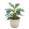 Plastic Artificial Plants Bonsai Lifelike Green Pot Plants Decoration  Outdoor Indoor Decoration