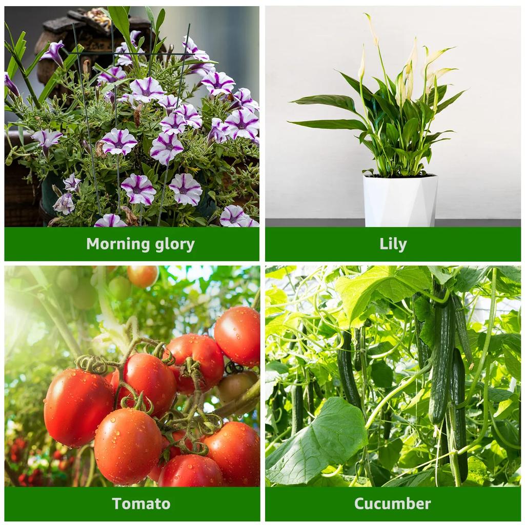 2 шт. решетки для растений, железная решетка для вьющихся растений, стойка для поддержки выращивания виноградной лозы 15,7×7,1 дюйма, опора для цветов